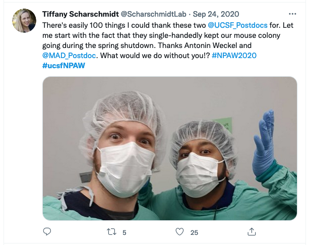 Tweet from Tiffany Scharschmidt at ScharschmidtLab There's easily 100 things I could thank these two UCSF Postdocs for. Let me start with the fact that they single-handedly kept our mouse colony going during the spring shutdown. Thanks Antonin Weckel and MAD Postdoc. What would we do without you!? #NPAW2020 #ucsfNPAW. Photo of two postdocs in hosptial gowns, hairnets and masks.