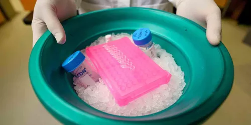 Two hands hold an ice bucket filled with laboratory tubes