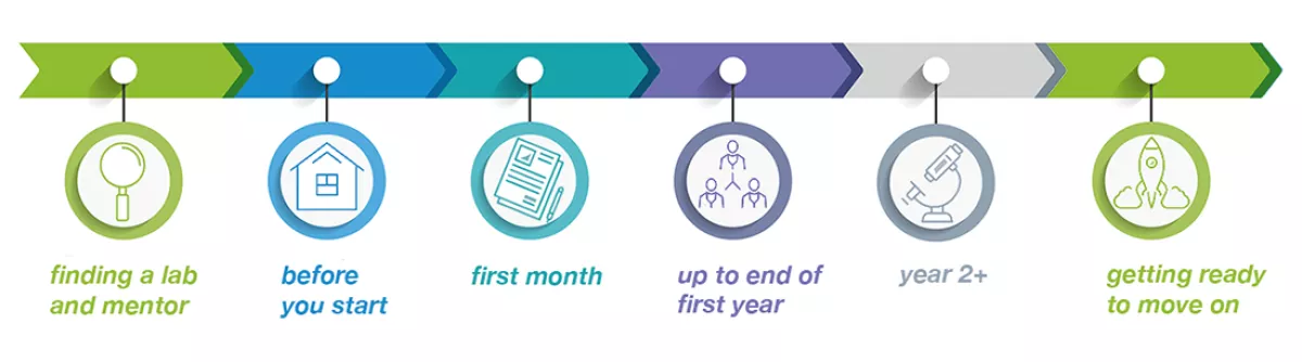 image of timeline