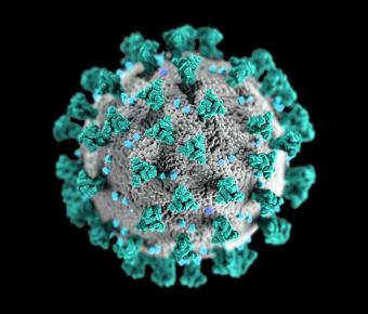 Illustration of a coronavirus particle