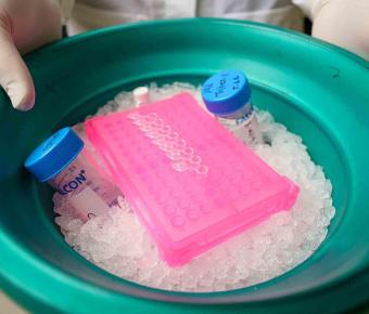 Lab Work Disrupted By COVID-19? Contribute your story to this research study!