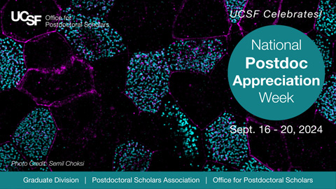 National Postdoc Appreciation Week Zoom Background with the Rutter Center